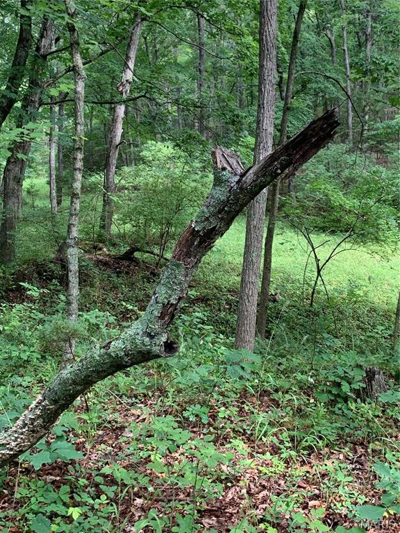 Jo-Vette Terrace - Farm