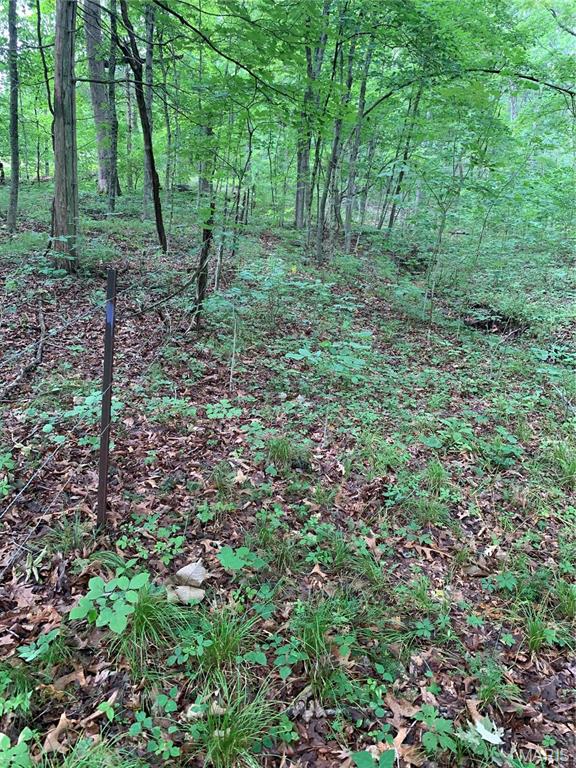 Jo-Vette Terrace - Farm