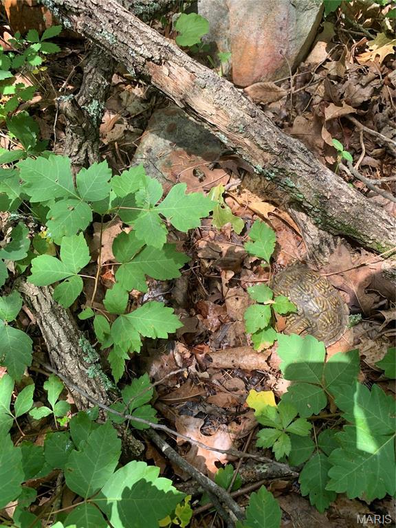 Jo-Vette Terrace - Farm