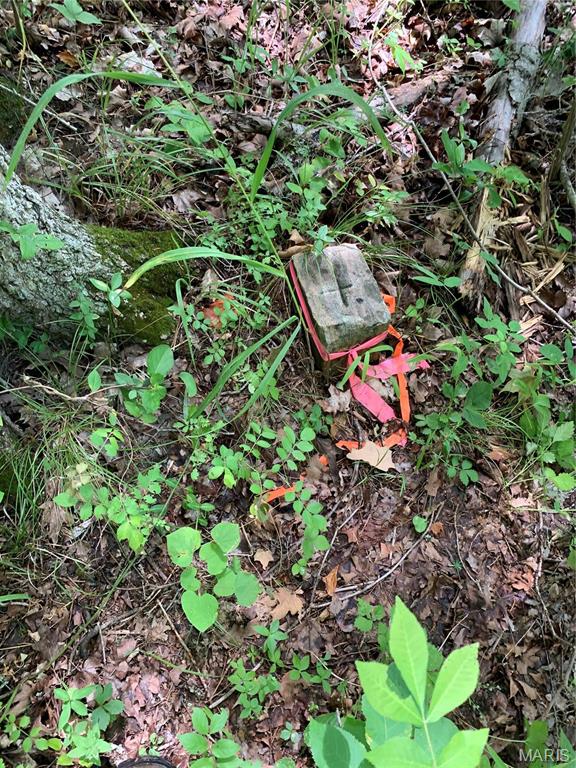 Jo-Vette Terrace - Farm