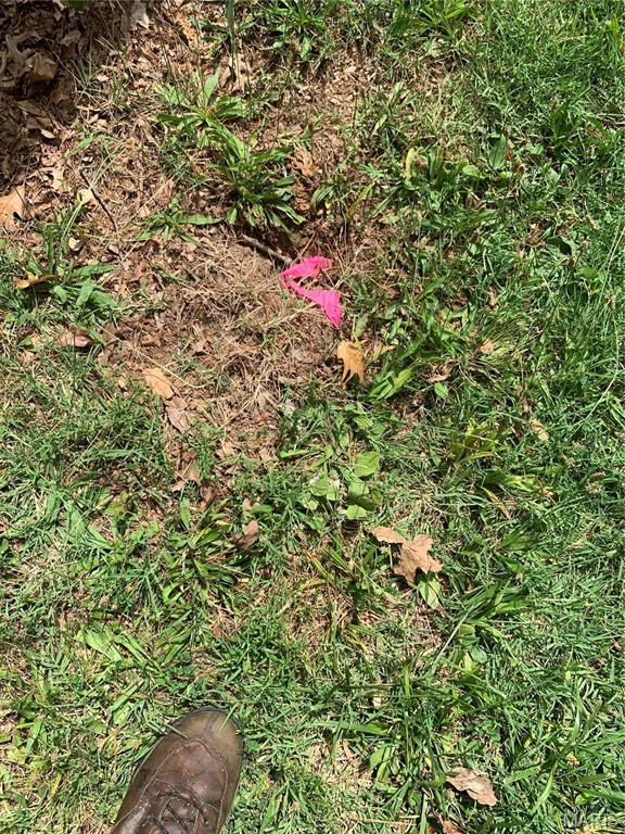 Jo-Vette Terrace - Farm