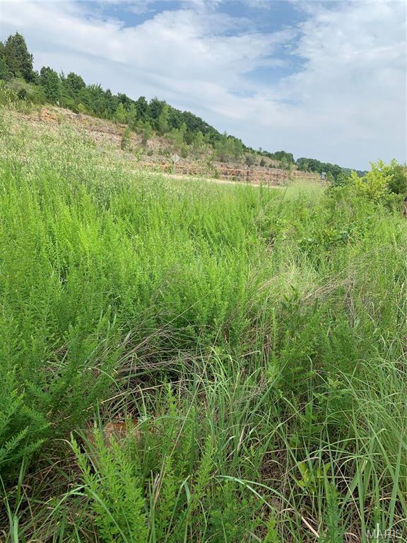 Jo-Vette Terrace - Farm