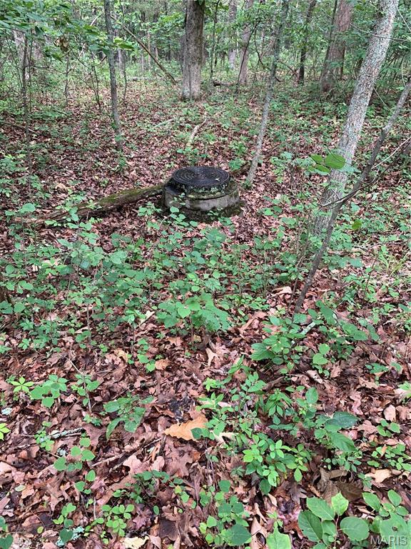 Jo-Vette Terrace - Farm