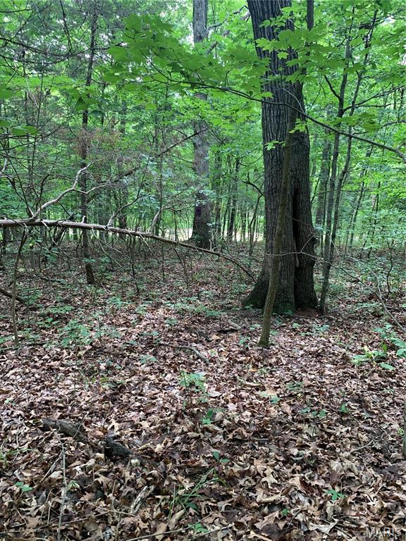 Jo-Vette Terrace - Farm