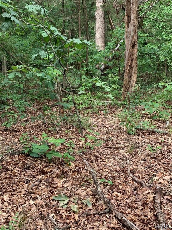 Jo-Vette Terrace - Farm