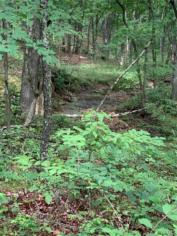 Jo-Vette Terrace - Farm