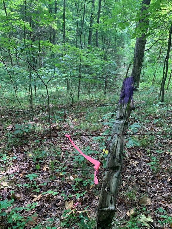 Jo-Vette Terrace - Farm