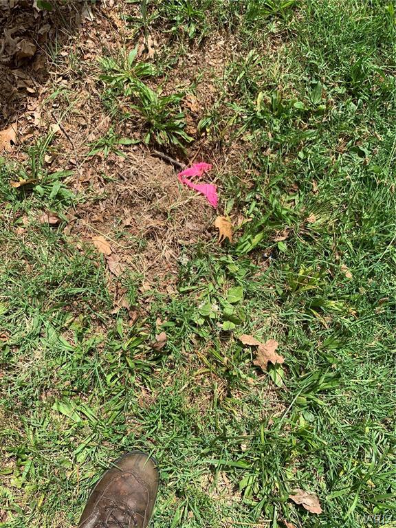 Jo-Vette Terrace - Farm