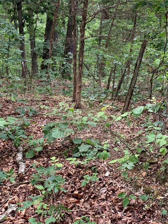 Jo-Vette Terrace - Farm