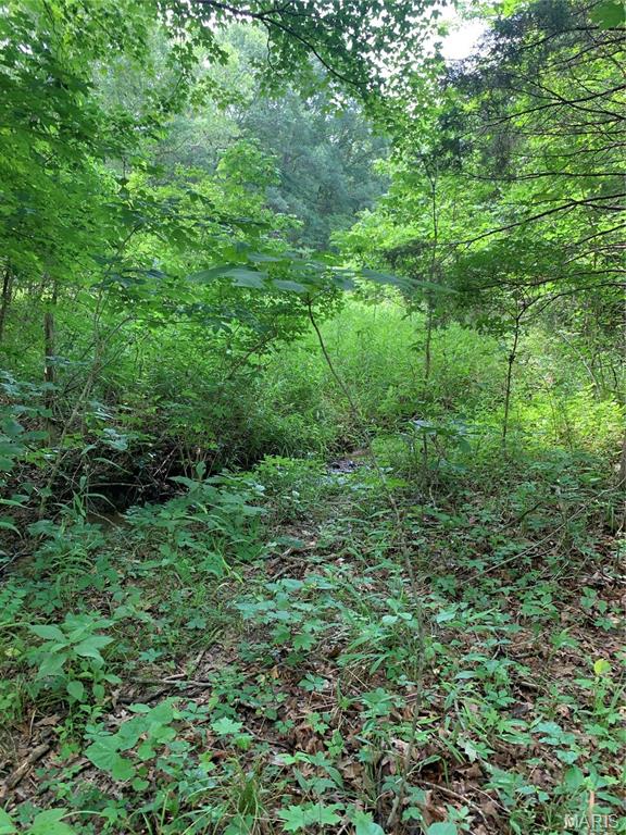 Jo-Vette Terrace - Farm