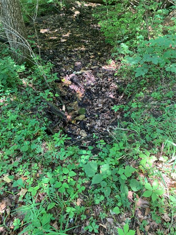 Jo-Vette Terrace - Farm