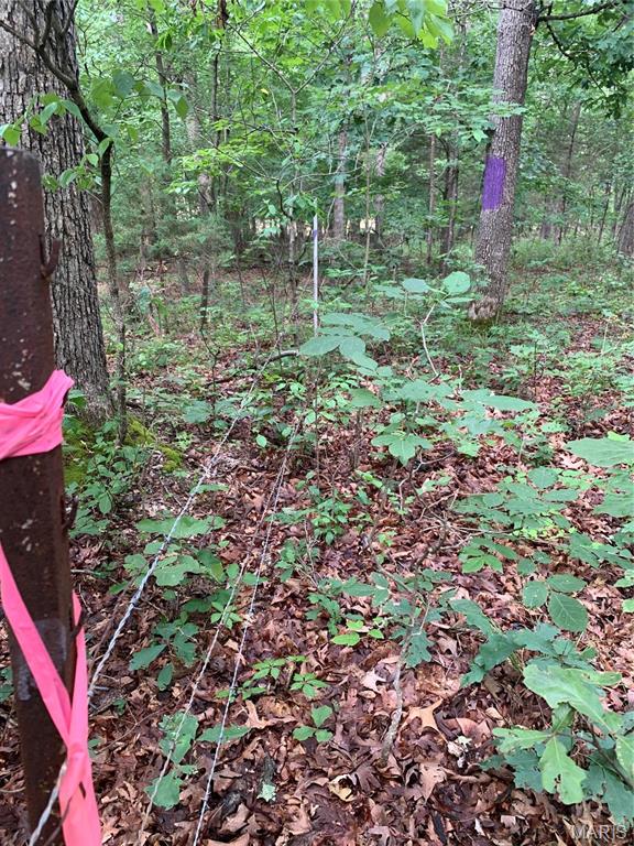 Jo-Vette Terrace - Farm