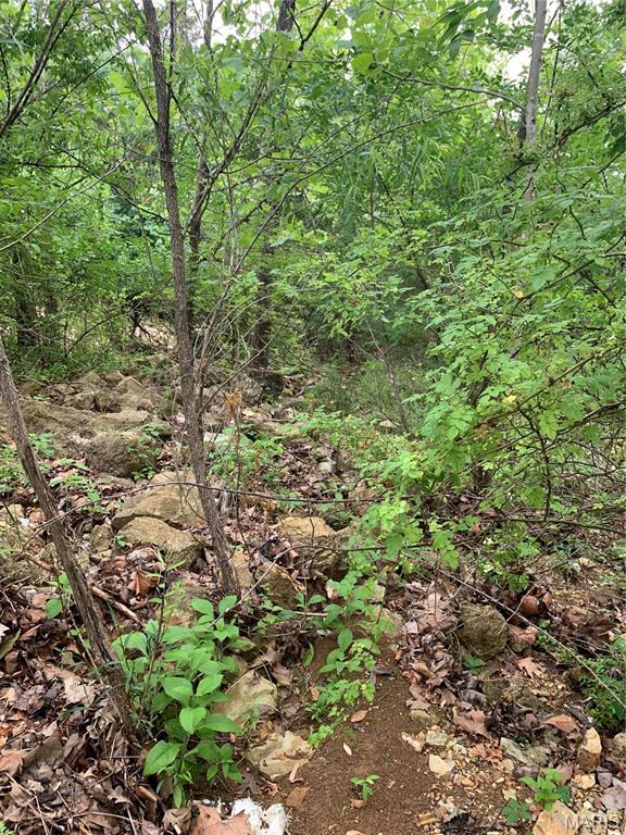 Jo-Vette Terrace - Farm