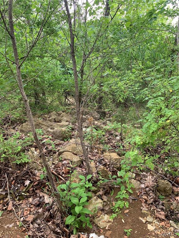 Jo-Vette Terrace - Farm