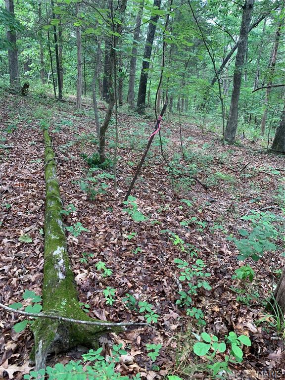 Jo-Vette Terrace - Farm