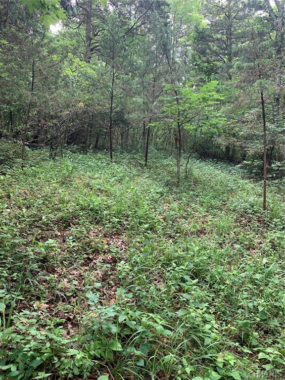 0 Lot 62.01 acres