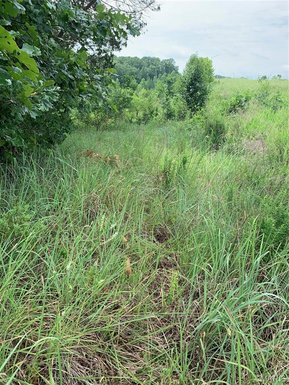 Jo-Vette Terrace - Farm