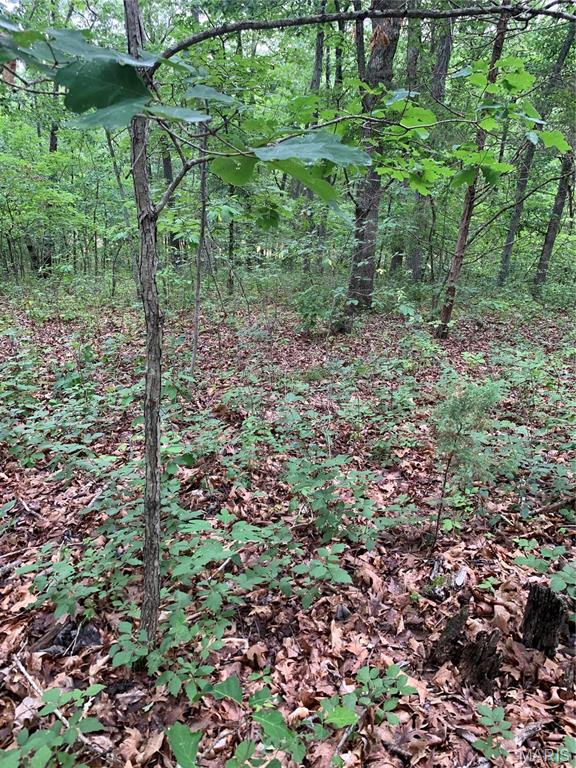 Jo-Vette Terrace - Farm