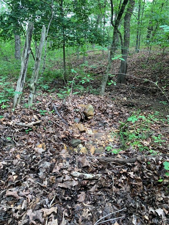 Jo-Vette Terrace - Farm