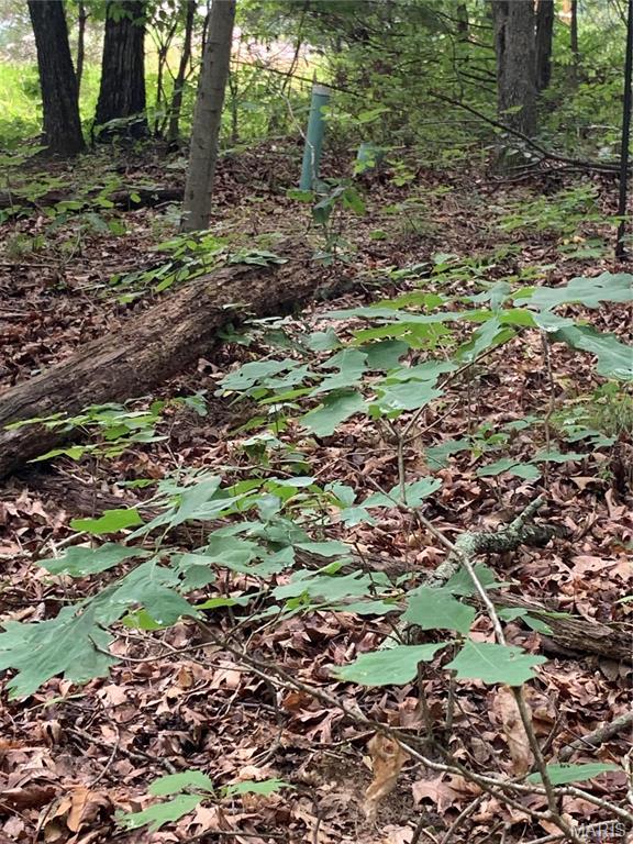 Jo-Vette Terrace - Farm