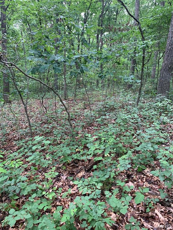 Jo-Vette Terrace - Farm