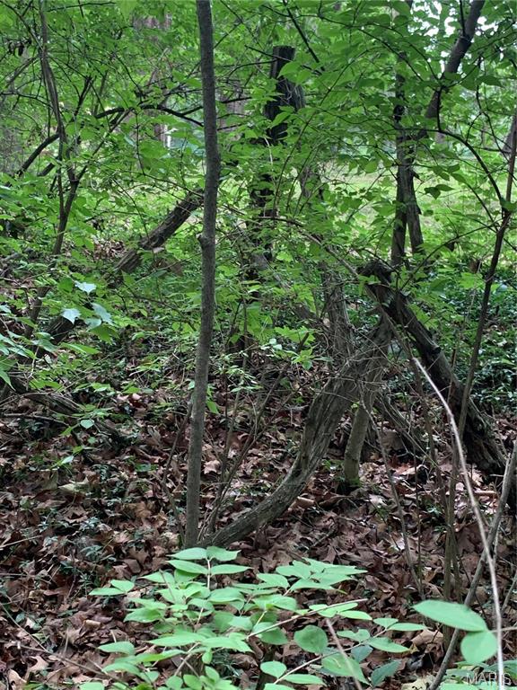 Jo-Vette Terrace - Farm