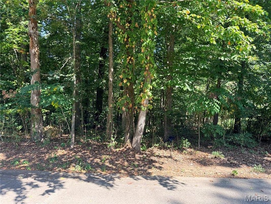 685 RADCLIFF LN, POPLAR BLUFF, MO 63901 - Image 23e1d8cd73d748e3a20a656568ff408d/411916162