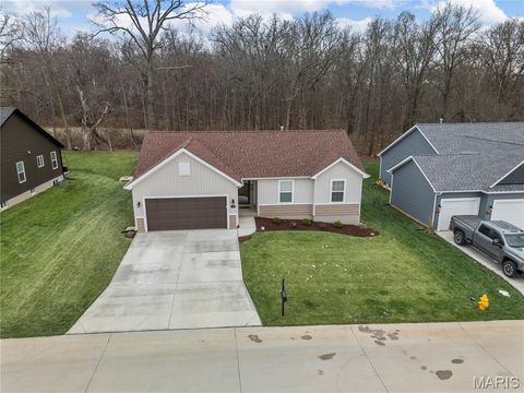 528 Birchwood Drive Moscow Mills MO 63362