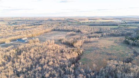 Tiny photo for 4800 Pebble Lane, Farmington, MO 63640 (MLS # 26010211)