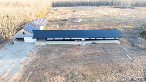 Tiny photo for 4800 Pebble Lane, Farmington, MO 63640 (MLS # 26010211)