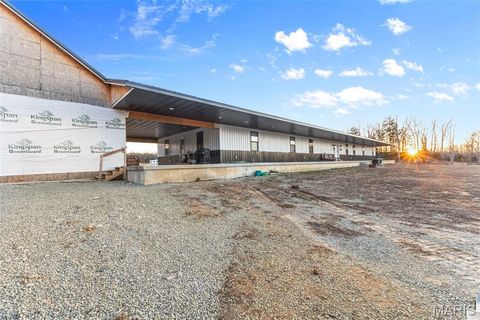 Tiny photo for 4800 Pebble Lane, Farmington, MO 63640 (MLS # 26010211)