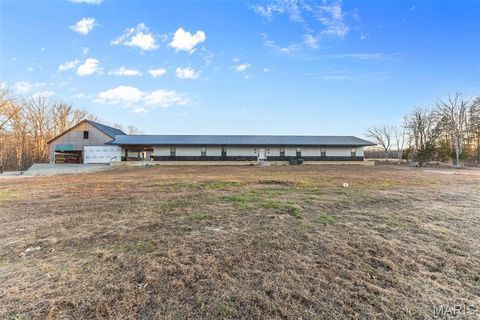 Tiny photo for 4800 Pebble Lane, Farmington, MO 63640 (MLS # 26010211)