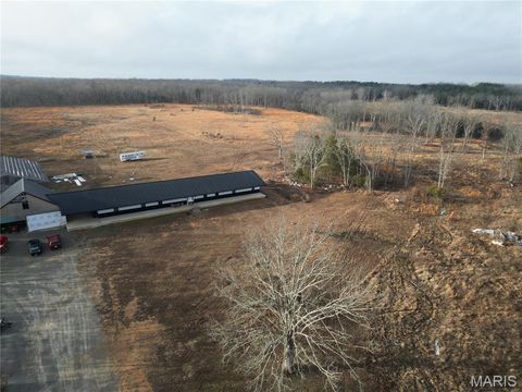 Photo of 4800 Pebble Lane, Farmington, MO 63640 (MLS # 26010211)