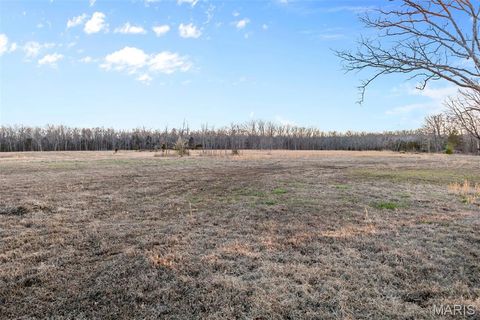 Tiny photo for 4800 Pebble Lane, Farmington, MO 63640 (MLS # 26010211)