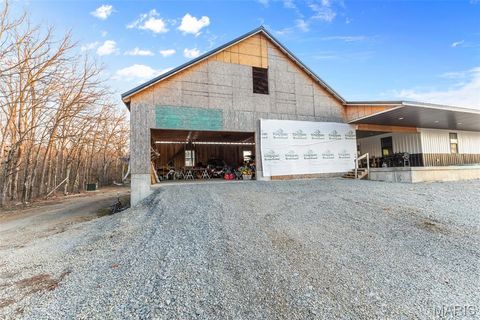 Tiny photo for 4800 Pebble Lane, Farmington, MO 63640 (MLS # 26010211)