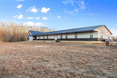Tiny photo for 4800 Pebble Lane, Farmington, MO 63640 (MLS # 26010211)
