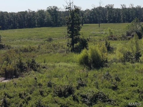 Tiny photo for 4800 Pebble Lane, Farmington, MO 63640 (MLS # 26010211)