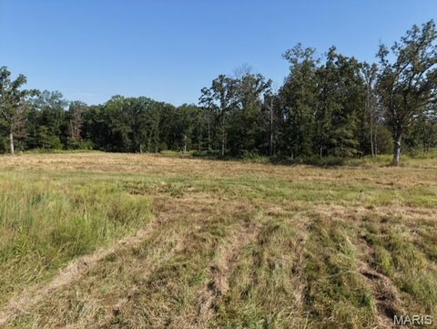 Tiny photo for 4800 Pebble Lane, Farmington, MO 63640 (MLS # 26010211)