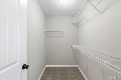 Tiny photo for 29514 Walnut Valley Lane, Wright City, MO 63390 (MLS # 26018074)