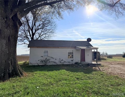 Photo of 2816 County Road 628, Fisk, MO 63940 (MLS # 25078923)