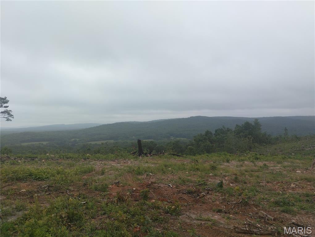 Photo 1 of 4 — 1 Tract 1 Off Hwy O, Belleview, MO 63623