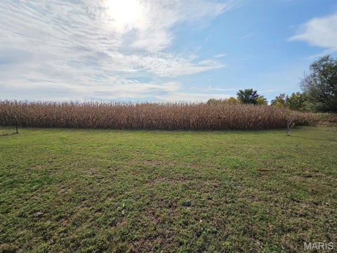 Tiny photo for 31595 Old Monticello Road, Canton, MO 63435 (MLS # 26068451)