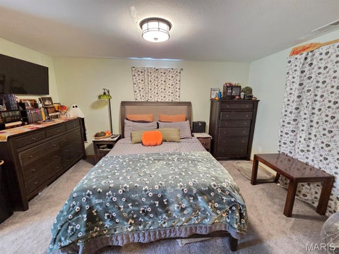 Tiny photo for 31595 Old Monticello Road, Canton, MO 63435 (MLS # 26068451)