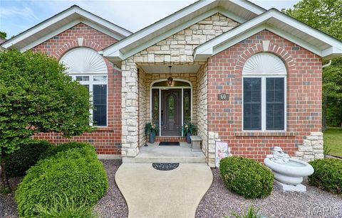 Tiny photo for 60 Lake Lawrence Lane, Troy, MO 63379 (MLS # 26025720)