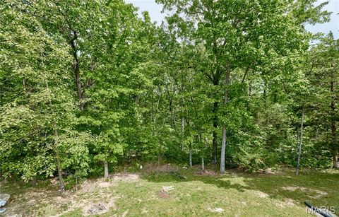 Tiny photo for 60 Lake Lawrence Lane, Troy, MO 63379 (MLS # 26025720)