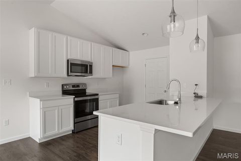 Tiny photo for 1028 Westhaven Boulevard, Wentzville, MO 63385 (MLS # 26016532)