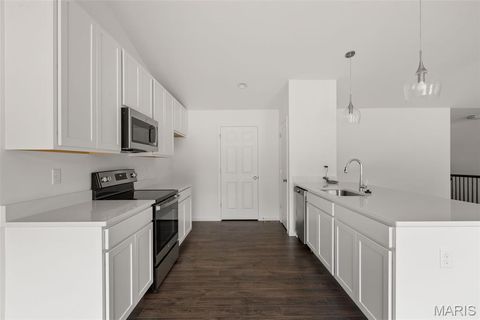 Tiny photo for 1028 Westhaven Boulevard, Wentzville, MO 63385 (MLS # 26016532)