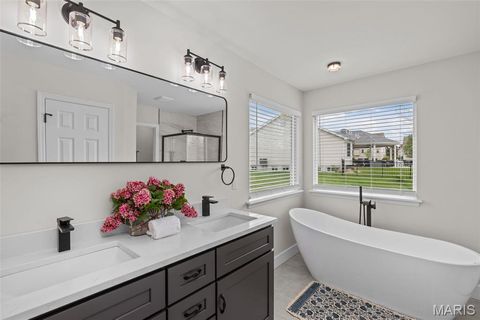 Tiny photo for 241 Huntsdale Drive, Wentzville, MO 63385 (MLS # 26023658)