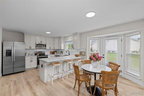 Tiny photo for 241 Huntsdale Drive, Wentzville, MO 63385 (MLS # 26023658)