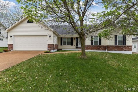 Photo of 241 Huntsdale Drive, Wentzville, MO 63385 (MLS # 26023658)